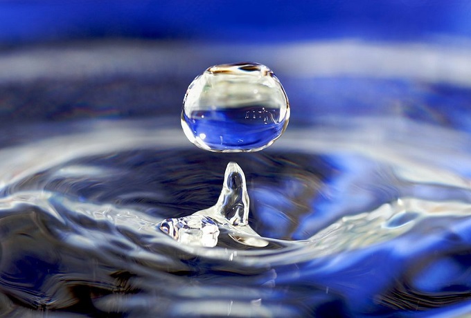 Coherent Water – Transformation and Immunity through Water