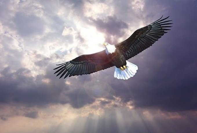 White Eagle – Spiritual Story