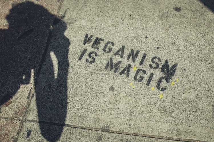 A Powerful Message of Veganism