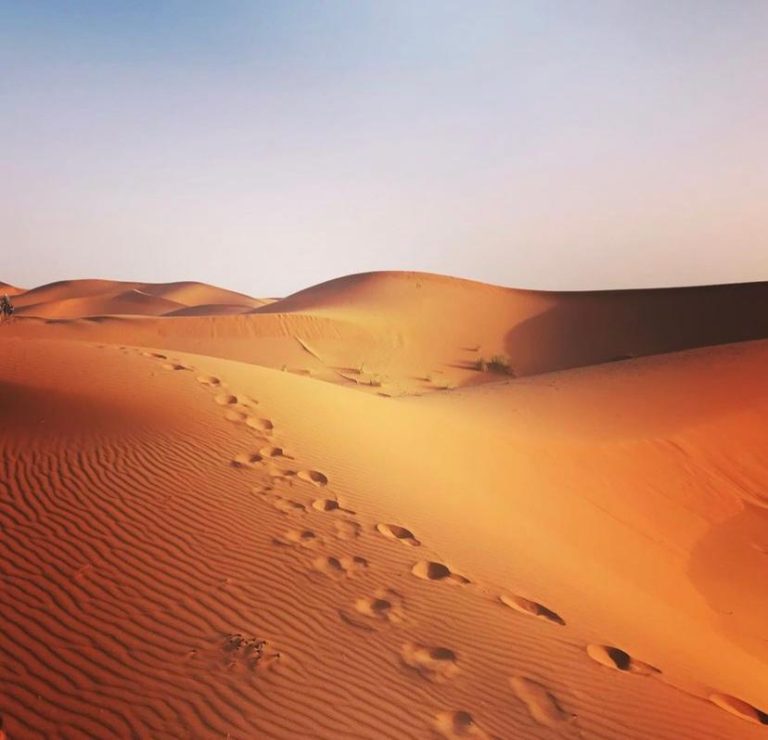 Amazing Sahara
