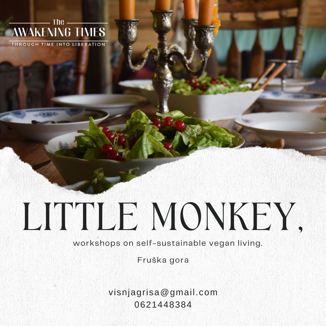 Little Monkey: Workshops on Self-Sustainable Vegan Living